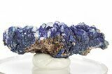 Vivid-Blue Azurite Encrusted Quartz Crystals - China #213816-1